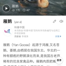 雁鹅