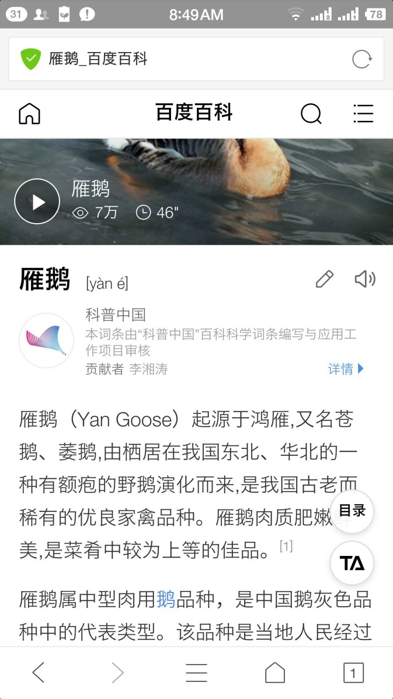 雁鹅