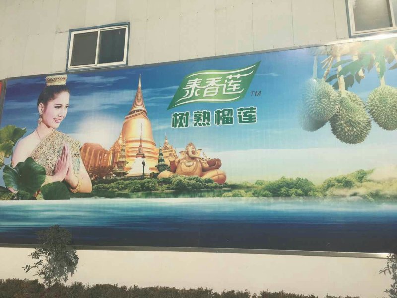 泰国进口金枕榴莲泥，纯榴莲肉果泥，榴莲