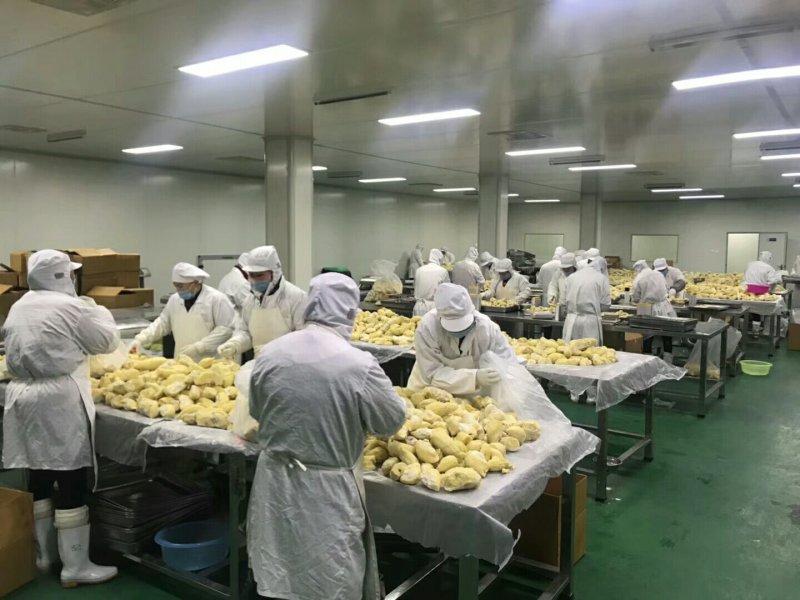 泰国进口金枕榴莲泥，纯榴莲肉果泥，榴莲