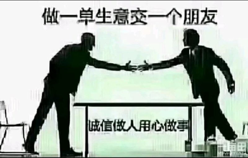 优质精品冬瓜，肉多口感