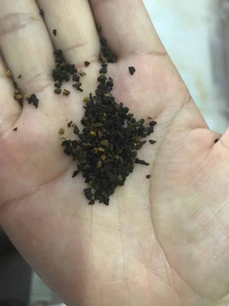 桦树茸黑晶