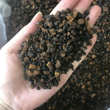 桦树茸黑晶
