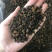 桦树茸黑晶