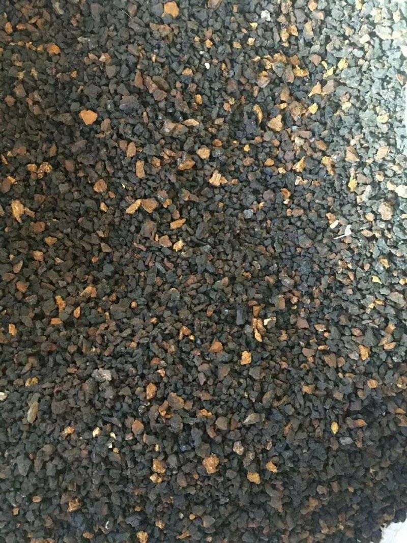 桦树茸黑晶