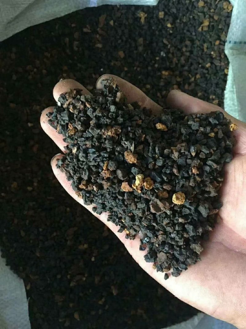 桦树茸黑晶