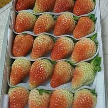 草莓，芒果，蓝莓，需要哦