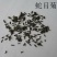 蛇目菊种子发芽快花期长花色漂亮