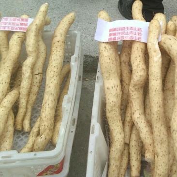 哪嘛坪原生态山药