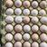 黑凤土鸡蛋，50-60克，颜色靓丽