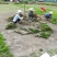 马尼拉，百慕大草坪