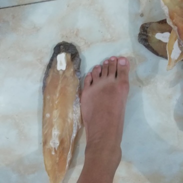 马友鱼干片