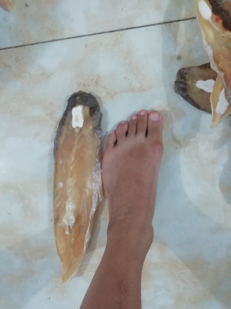 马友鱼干片