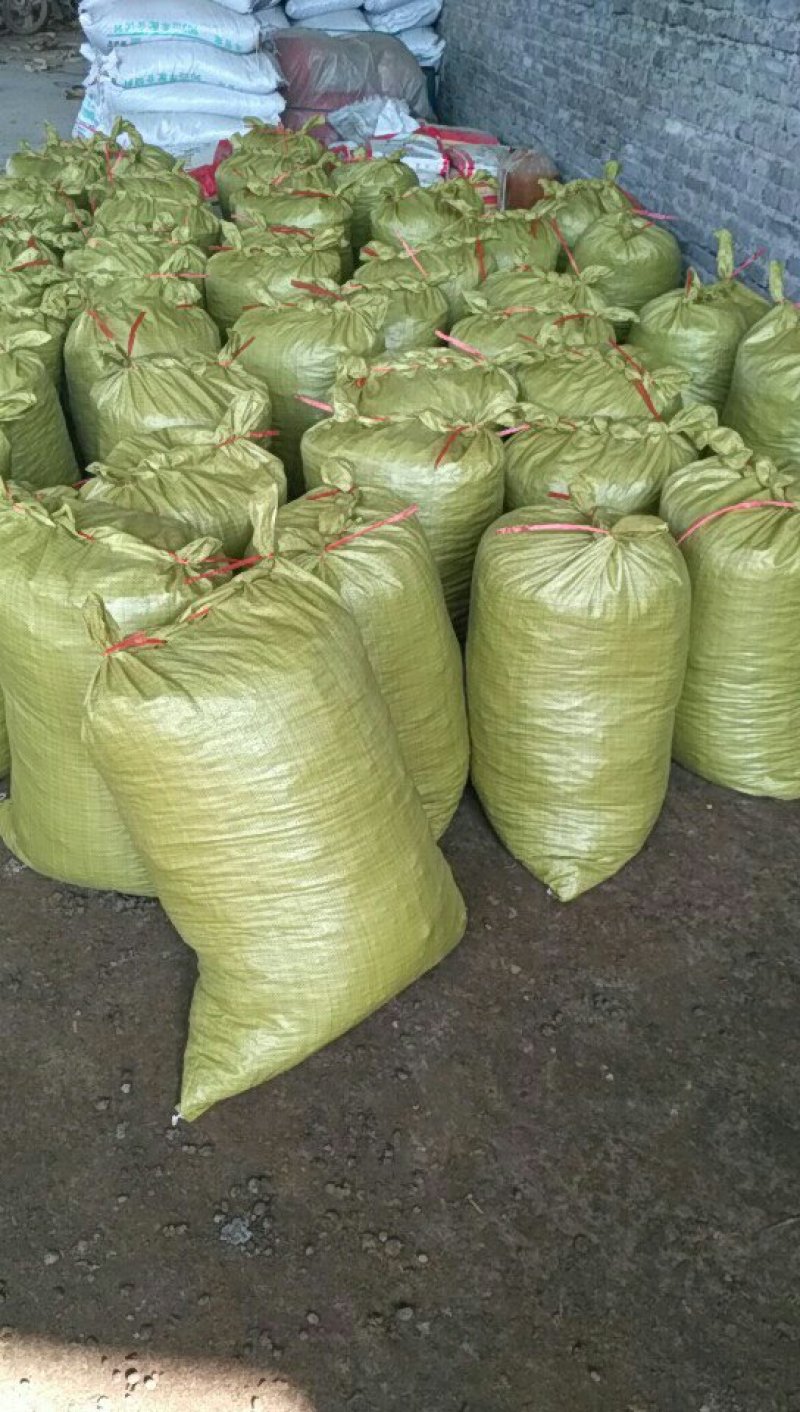 常年出售羊粪！目前有2500代干羊粪，要的抓紧联系。