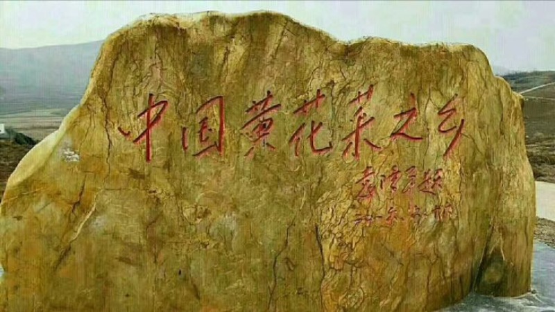 猛子花黄花菜散装一级