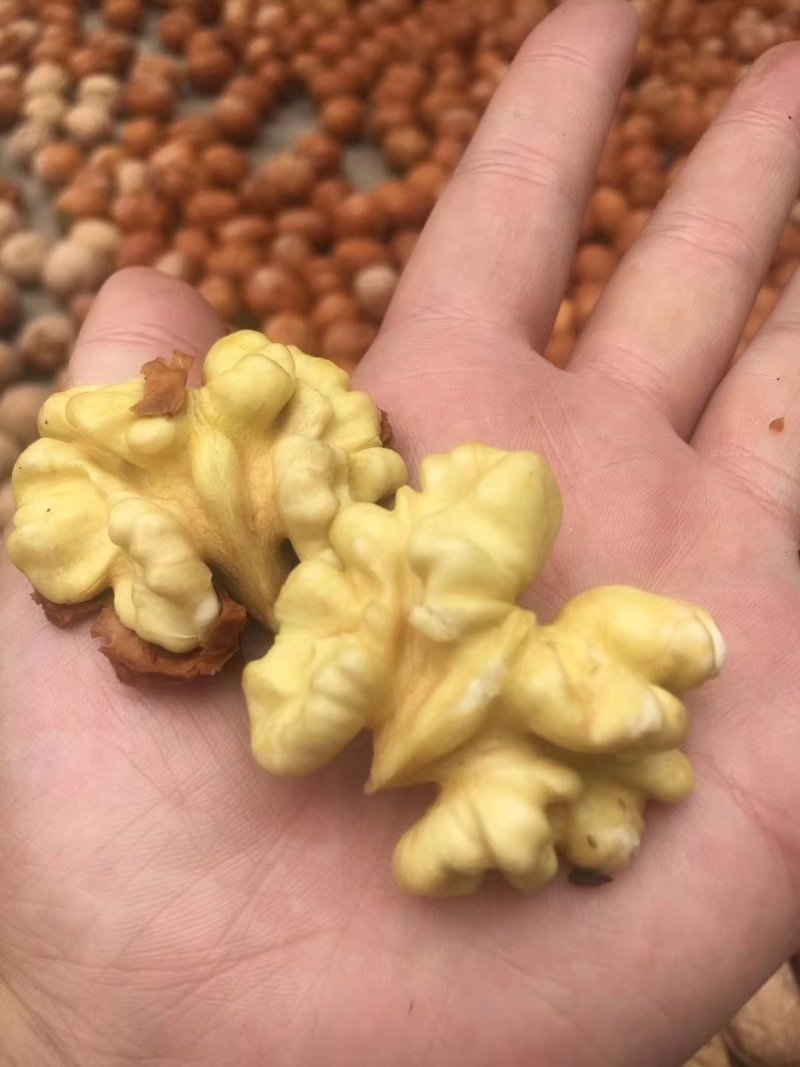 薄皮核桃脱皮鲜核桃籽仁饱满