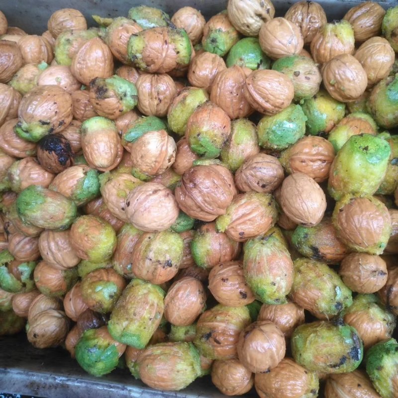 薄皮核桃脱皮鲜核桃籽仁饱满