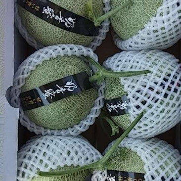 网纹瓜，大量到货，要的赶快联系我。