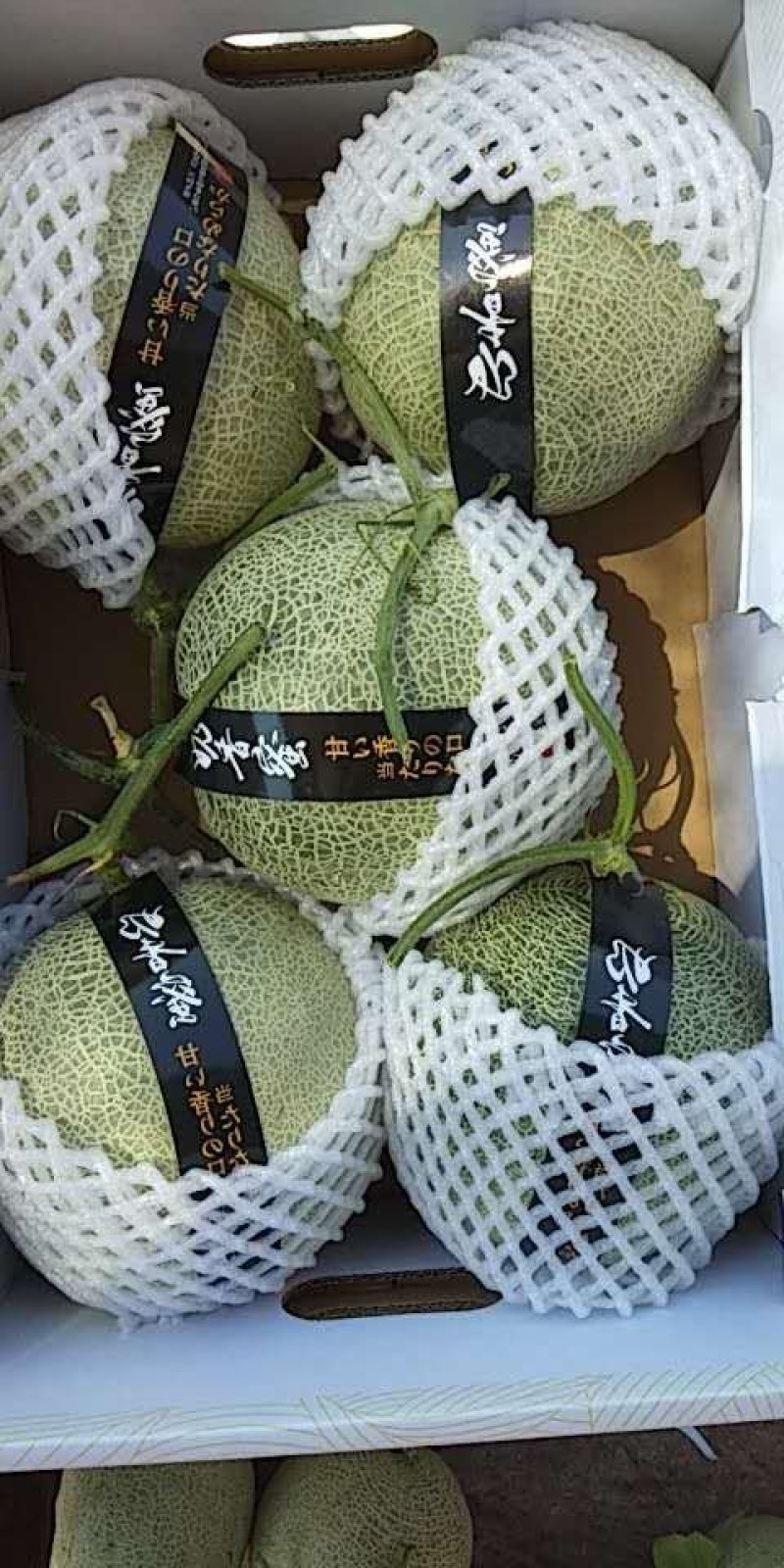 网纹瓜，大量到货，要的赶快联系我。