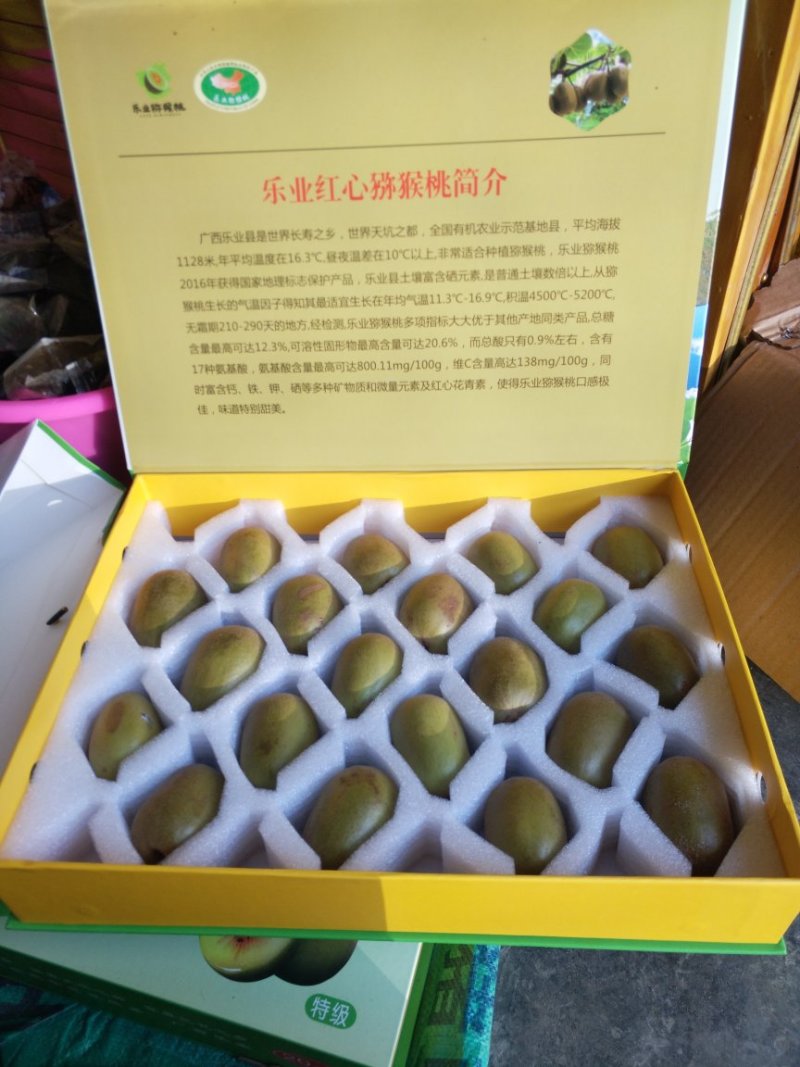 红心猕猴桃