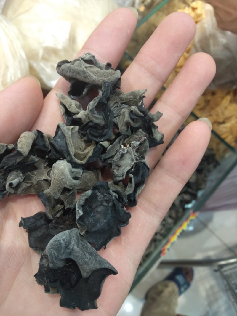 预定生产，价格可谈！黑木耳菌棒