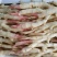 绿色食品鲜嫩生姜