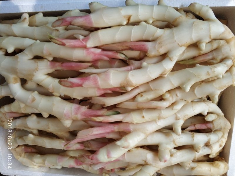 绿色食品鲜嫩生姜