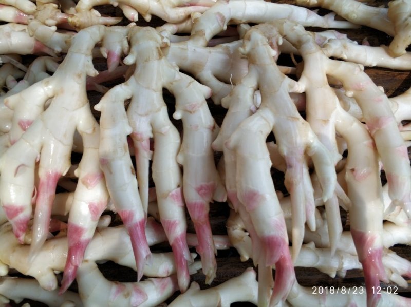绿色食品鲜嫩生姜