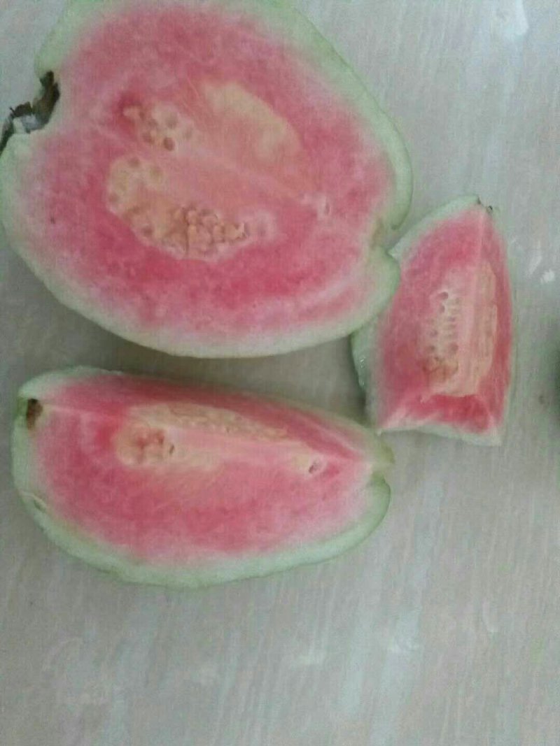 红心西瓜番石榴