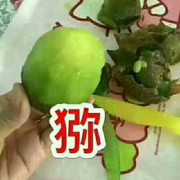 眉县猕猴桃