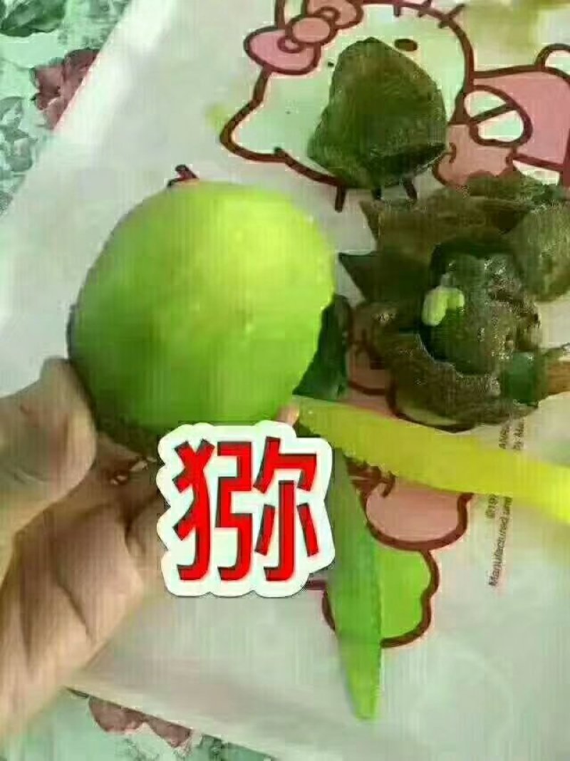 眉县猕猴桃