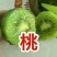 眉县猕猴桃