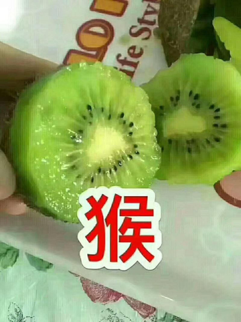 眉县猕猴桃