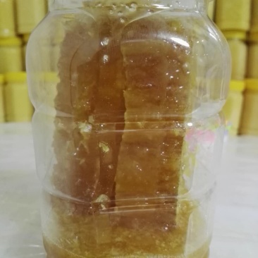 专业养蜂产品分享给全社会