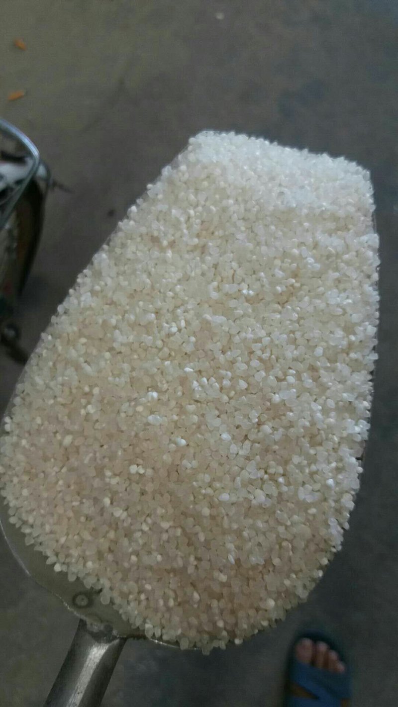 大米碎，硬碎米，碎大米，规格齐全，量大从优，长期供应