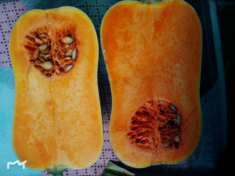 阿根廷引进奶油南瓜5斤装
