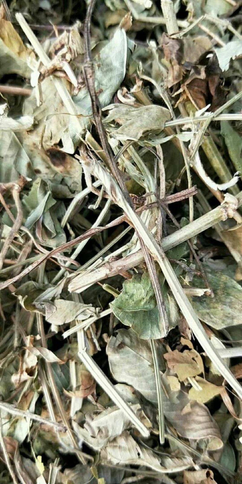 花生秧饲草，花生壳颗粒，花生秧颗粒