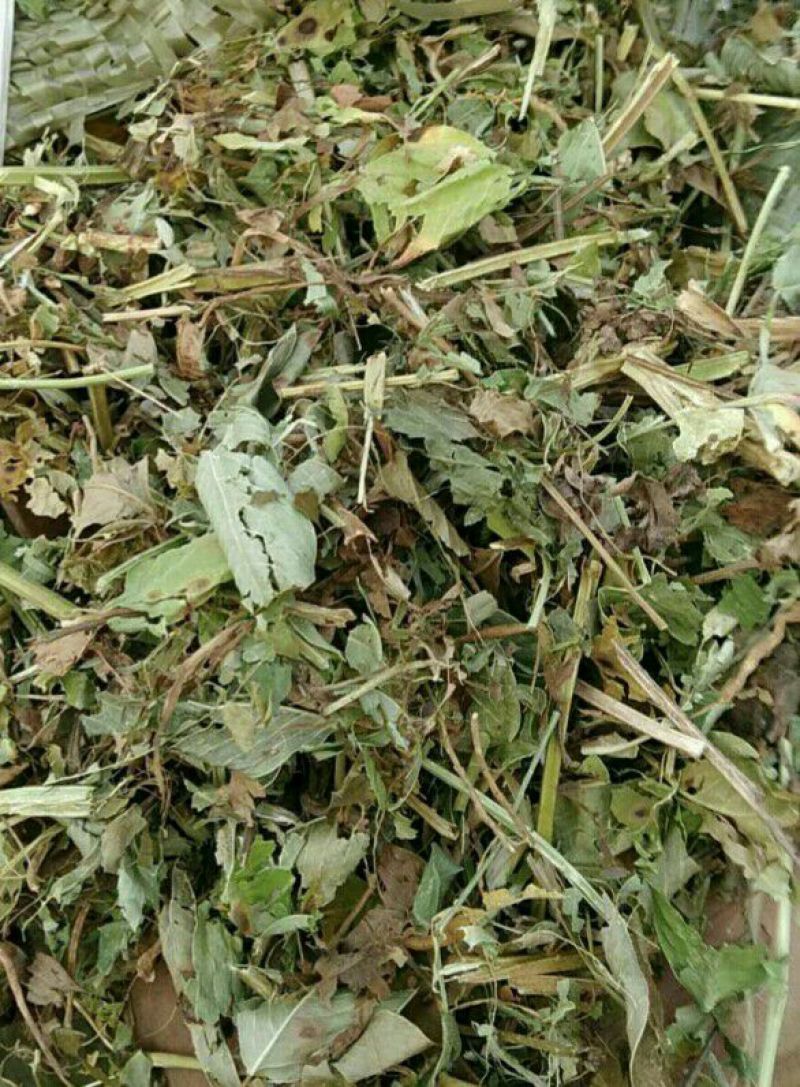 花生秧饲草，花生壳颗粒，花生秧颗粒