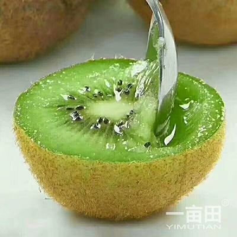 好消息，自家果园猕猴桃