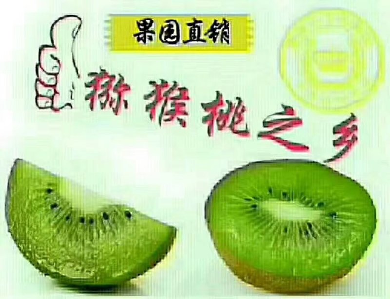 好消息，自家果园猕猴桃