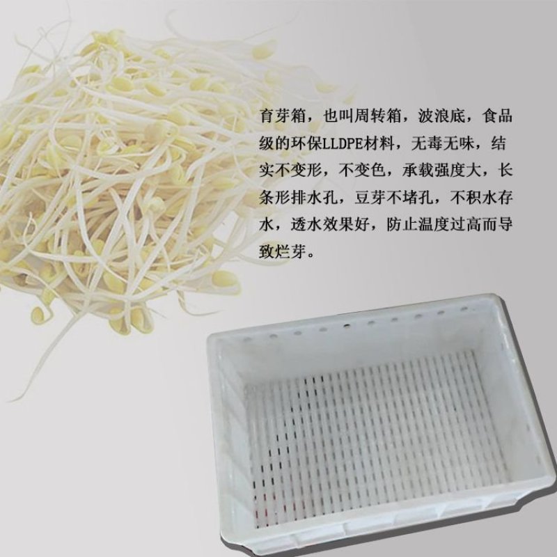 全自动豆芽机金盛达自动淋水的豆芽机微电脑控制