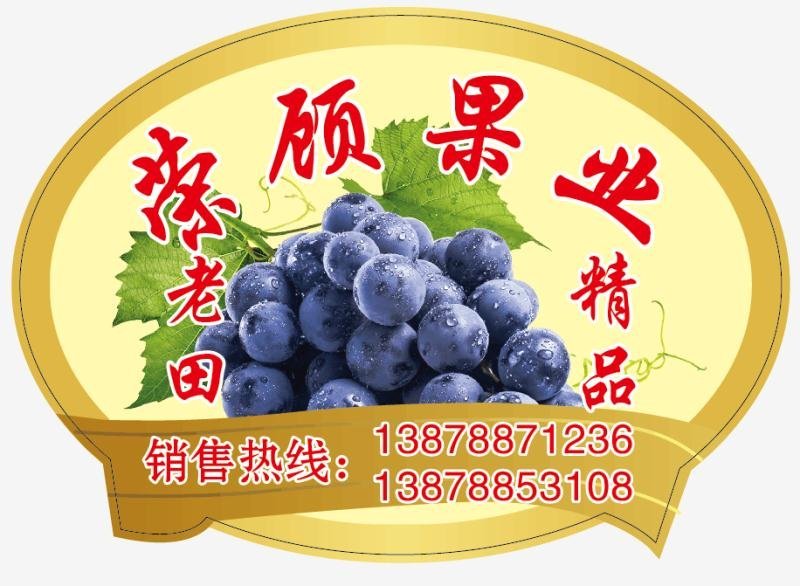 葡萄标签西红柿标签包装纸，各种蔬菜水果标签定做