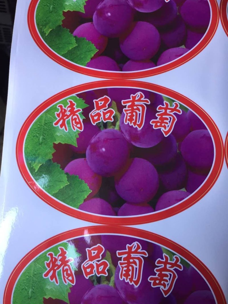 西红柿标签葡萄标签水果标签水果蔬菜标签均有销售