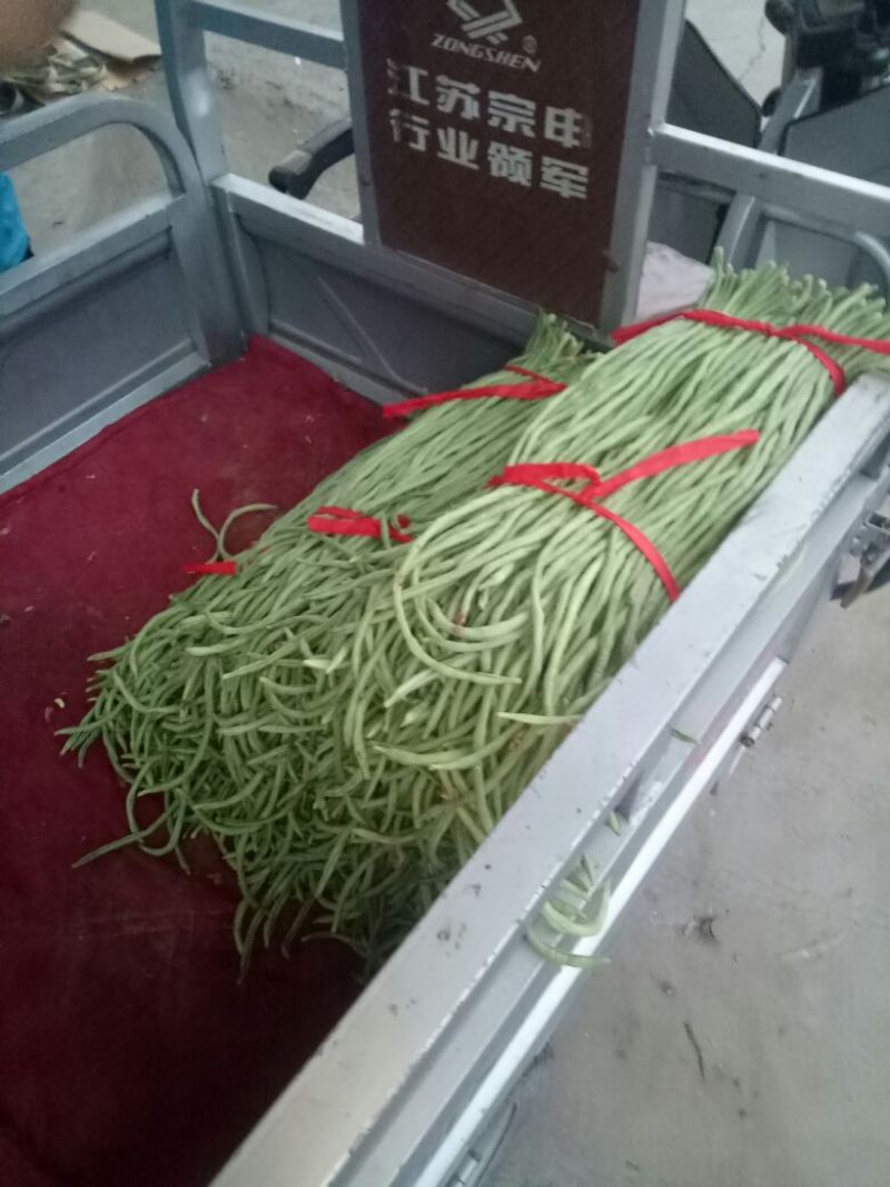 豆角