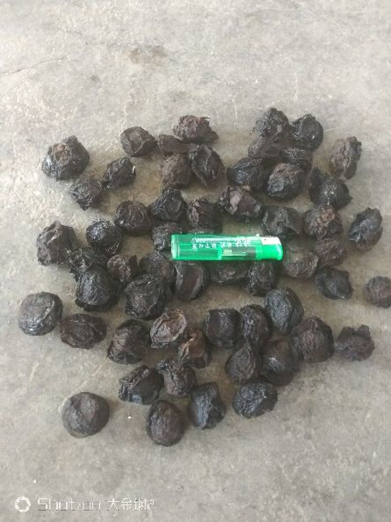 乌梅