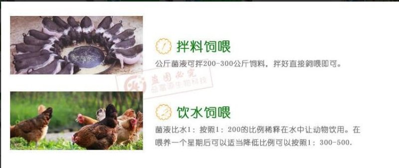 饲料发酵菌液em秸秆发酵豆渣酒糟