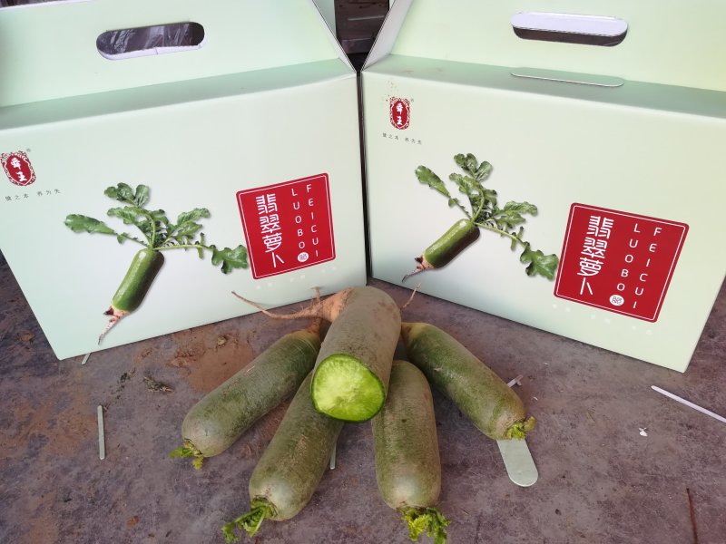 潍县青萝卜翡翠萝卜潍坊萝卜
