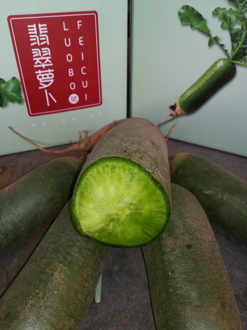 潍县青萝卜翡翠萝卜潍坊萝卜