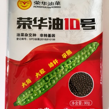 2018国审油菜品种含油大产量高杂交种非转基因