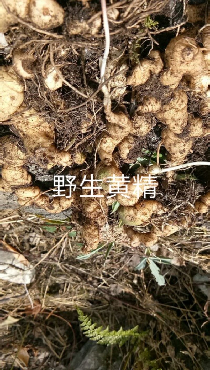 来电